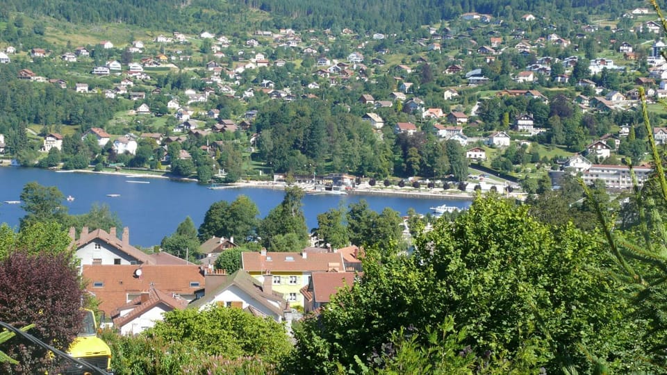 Lake view