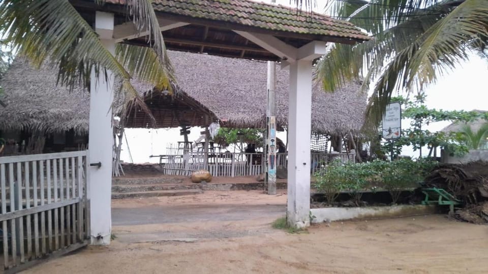 Day, Garden