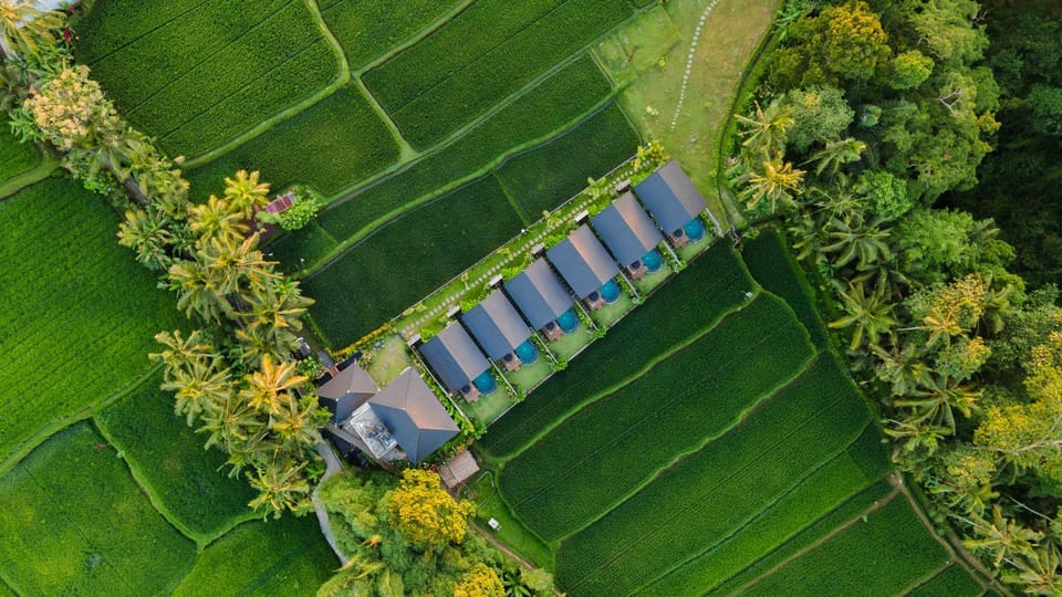 Day, Natural landscape, Bird's eye view, Garden, Garden view