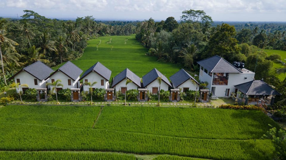 Property building, Day, Natural landscape, Garden, Garden view