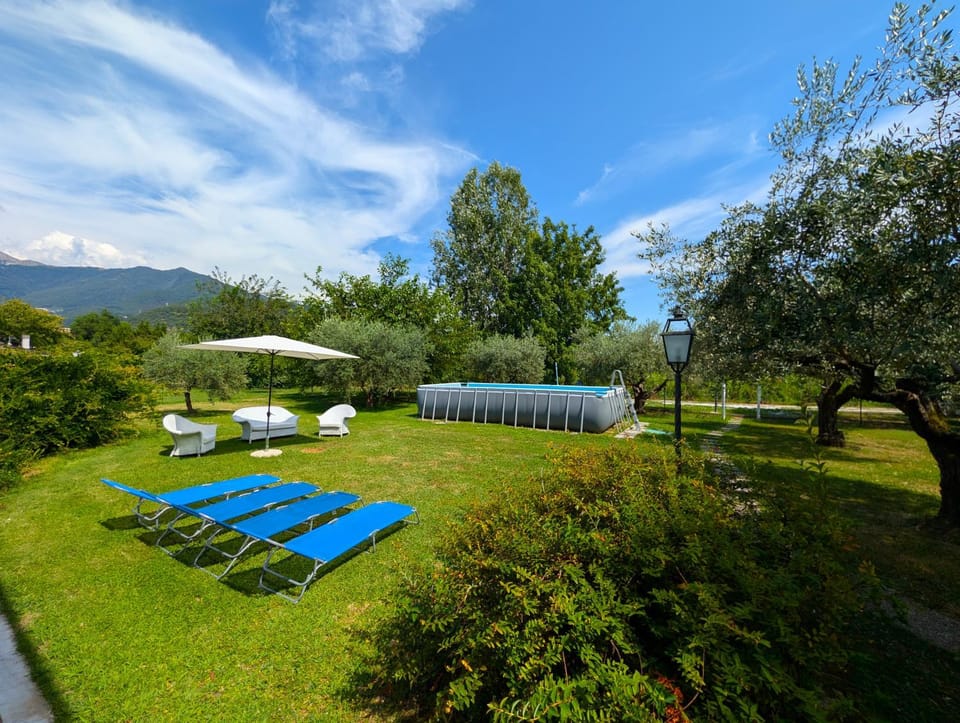 Natural landscape, Garden, Garden view, Swimming pool