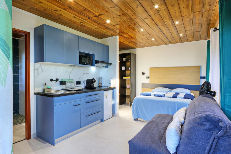 Bed, Kitchen or kitchenette, Seating area