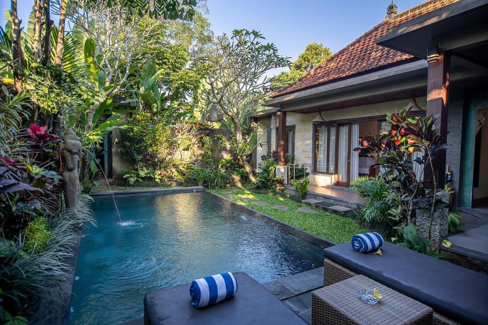 Property building, Garden, Garden view, Pool view, Swimming pool, sunbed