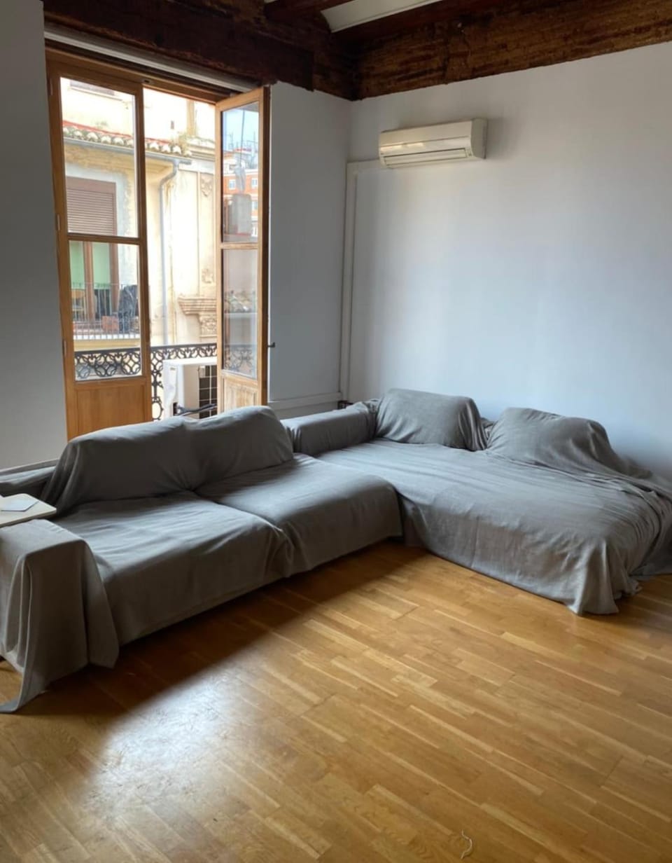 Bright, charming,in the historic center Apartment in Valencia