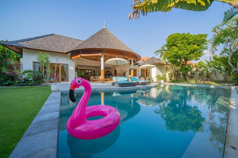 Garden, Garden view, Pool view, Swimming pool, sunbed