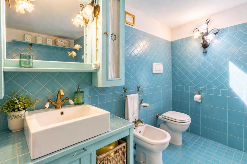 Bathroom, bidet, towels
