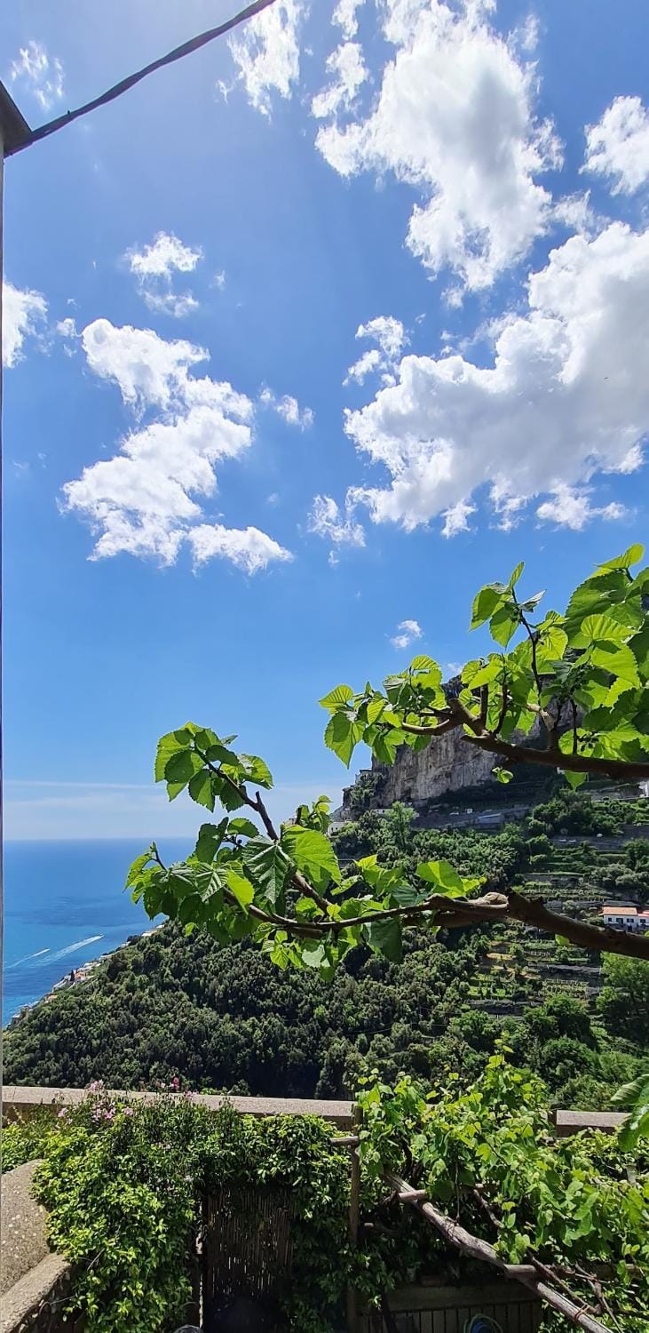 Lovely Amalfi panoramic house with garden and sea view House in Amalfi