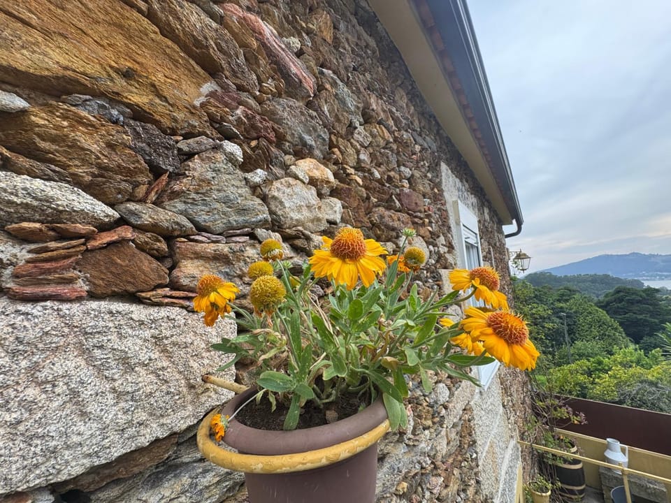 Natural landscape, View (from property/room), Mountain view
