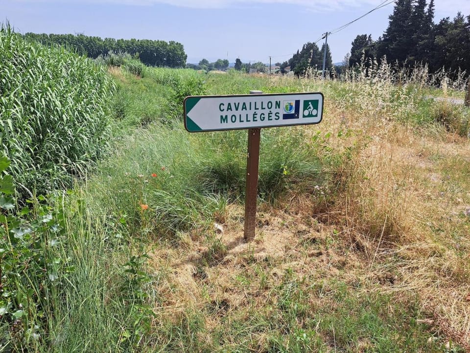 Natural landscape