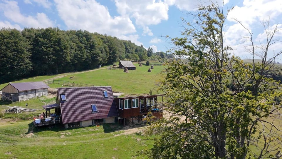 Cabana Oul Arsitei House in Romania