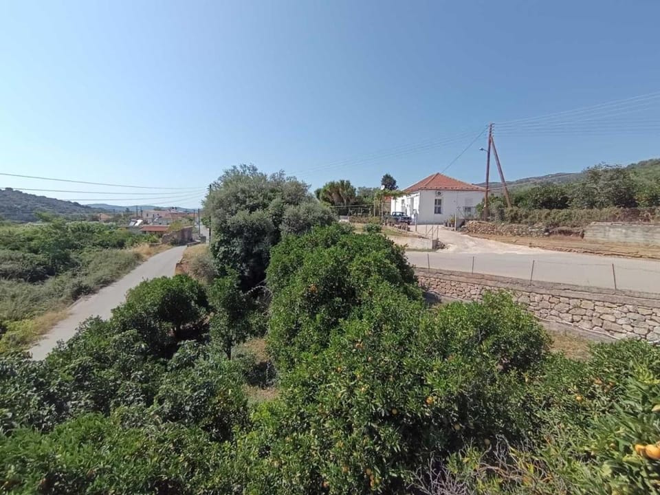 Neighbourhood, Natural landscape