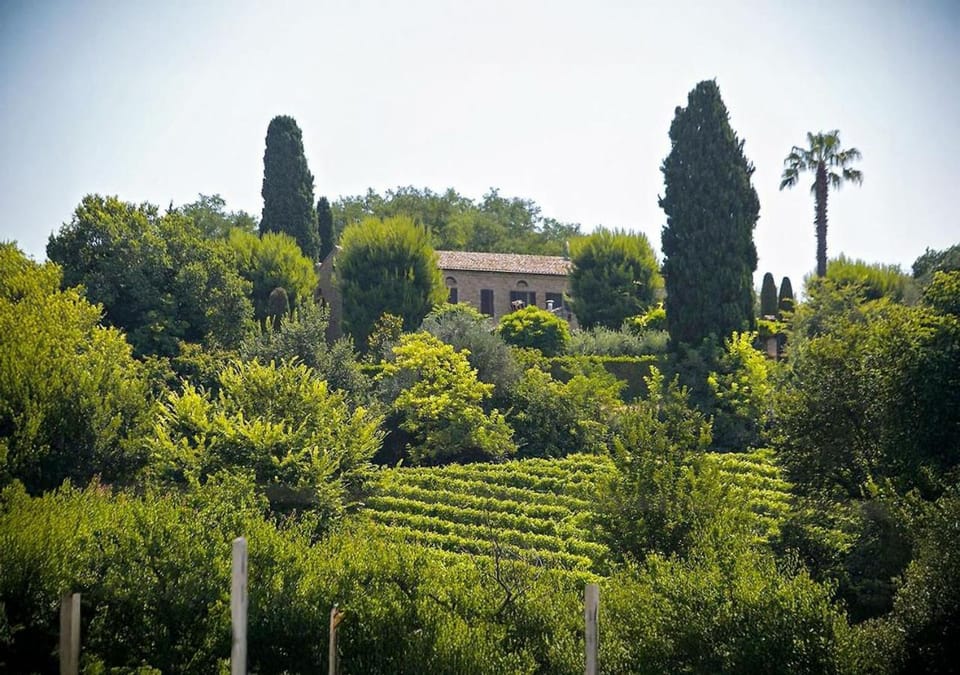 Property building, Facade/entrance, Spring, Day, Natural landscape, Summer, Garden, Garden, View (from property/room), View (from property/room), Balcony/Terrace, Balcony/Terrace, Floor plan, Garden view, Garden view, Mountain view, Mountain view, Pool view, Pool view, Swimming pool, Swimming pool, Seasons, Sunset, internet, internet, sunbed