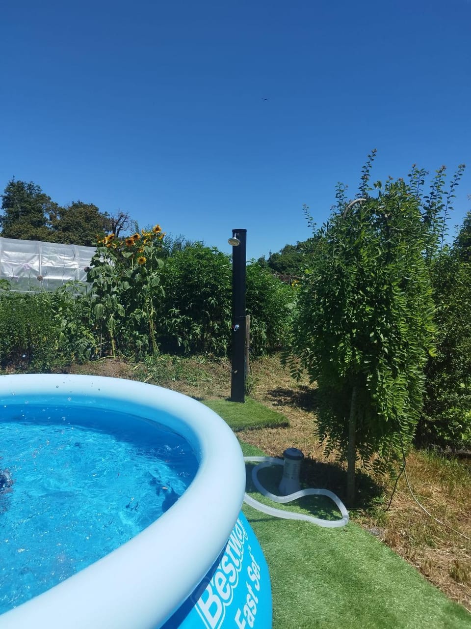 Natural landscape, Garden view, Swimming pool