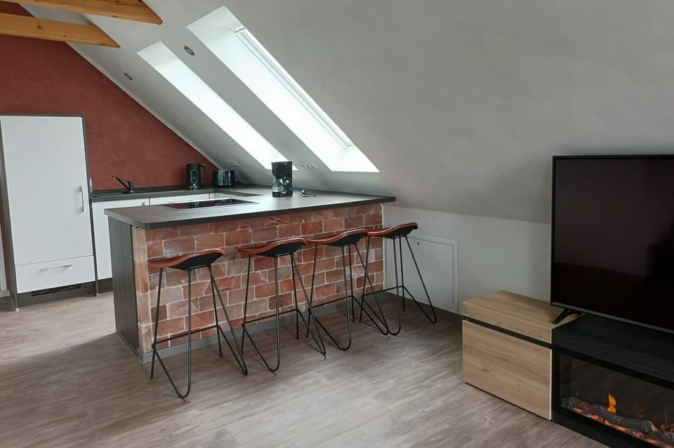 Ferienwohnung Allerblick Apartment in Celle