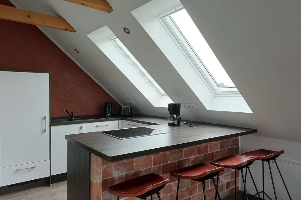 Ferienwohnung Allerblick Apartment in Celle