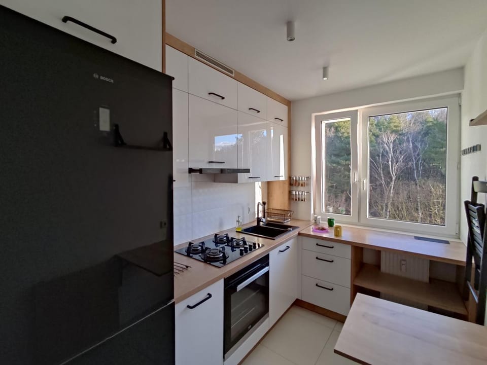 Kitchen or kitchenette, Dining area, dishwasher, oven, stove