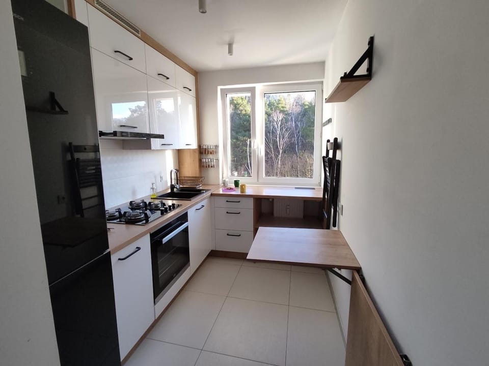 Kitchen or kitchenette, Dining area, oven