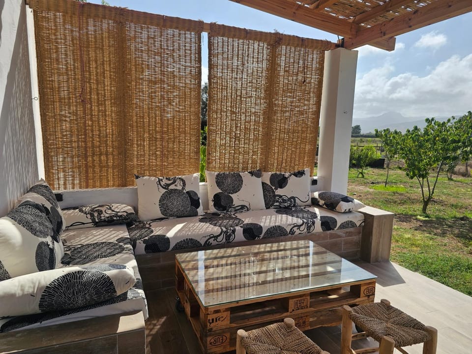 Day, Garden view