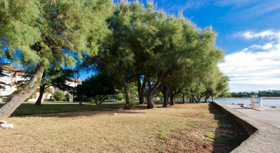 Queen Bee Apartments Apartment in Novigrad