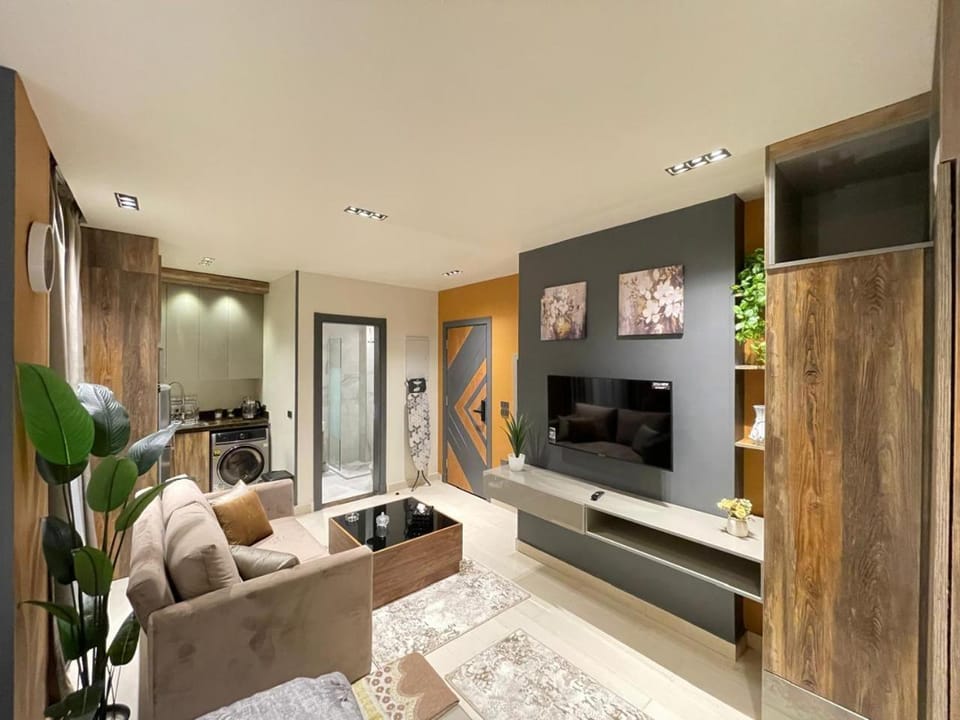 TV and multimedia, Living room