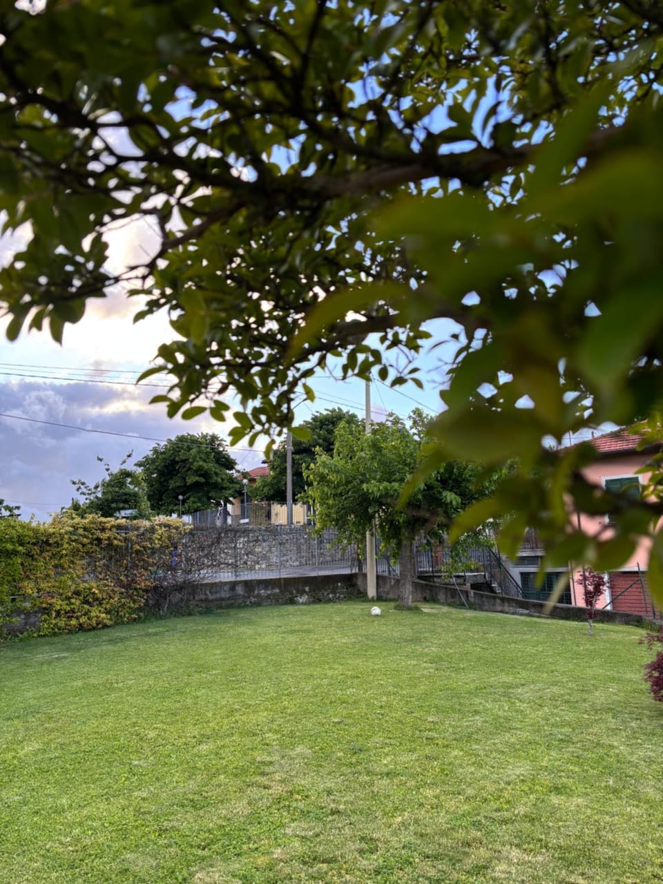 Natural landscape, Garden, Garden, Garden view