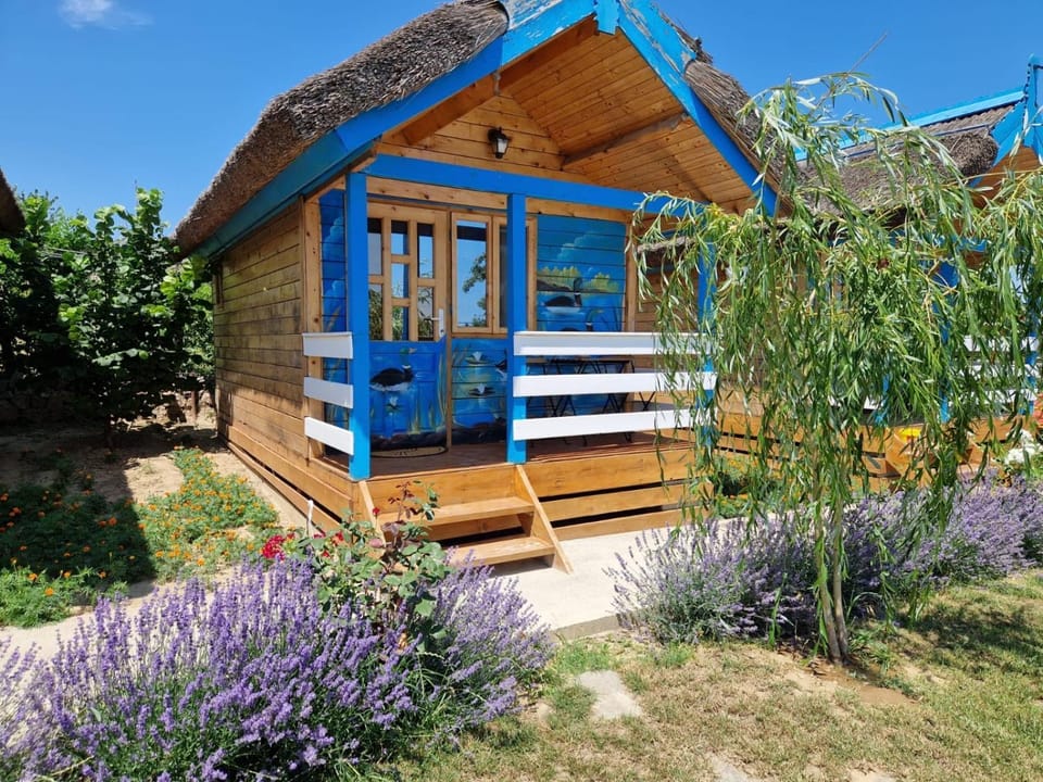 Casa Flavia Bed and Breakfast in Romania