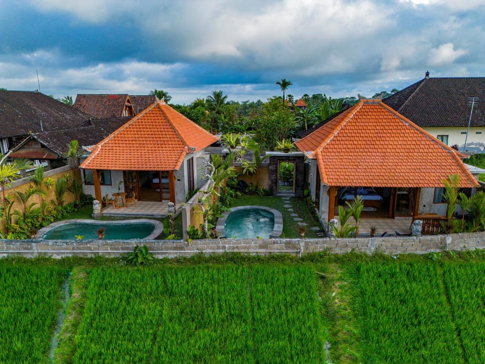 Property building, Spring, Garden, Pool view, sunbed