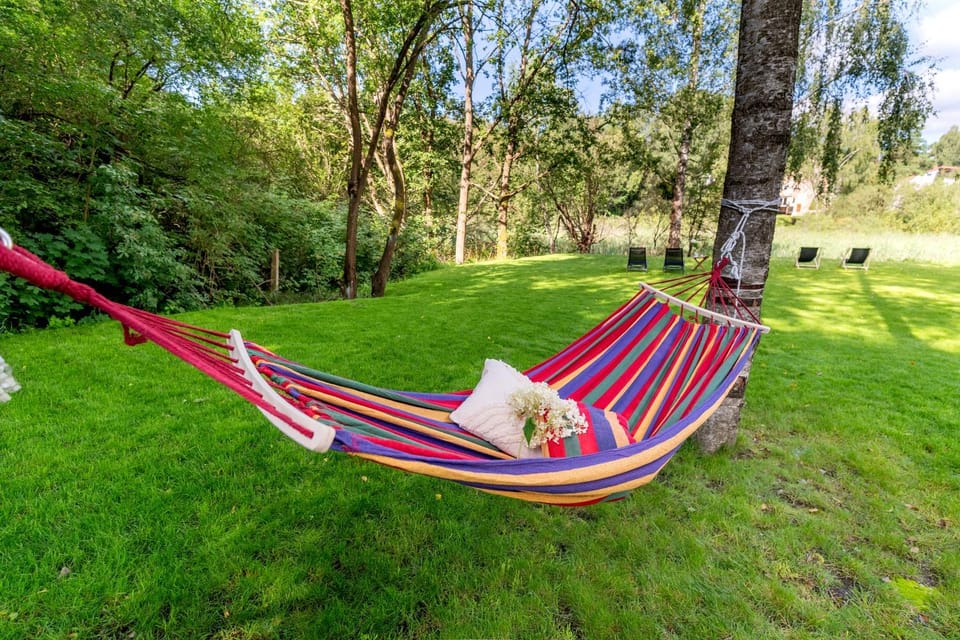 Garden, sunbed