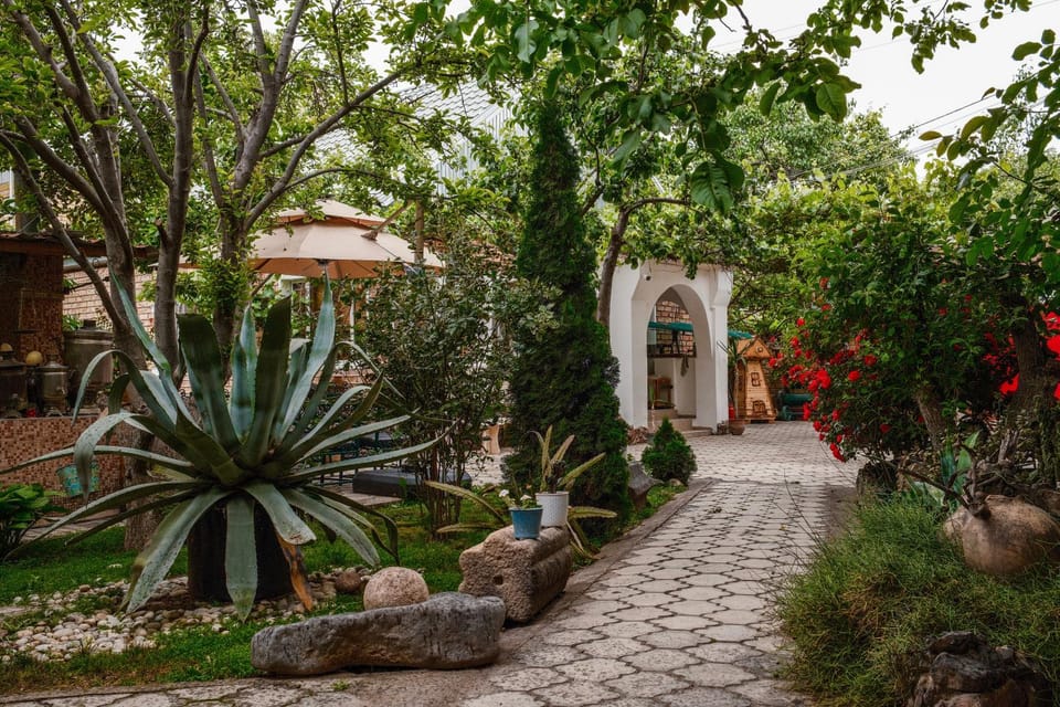 Day, Garden, Garden view