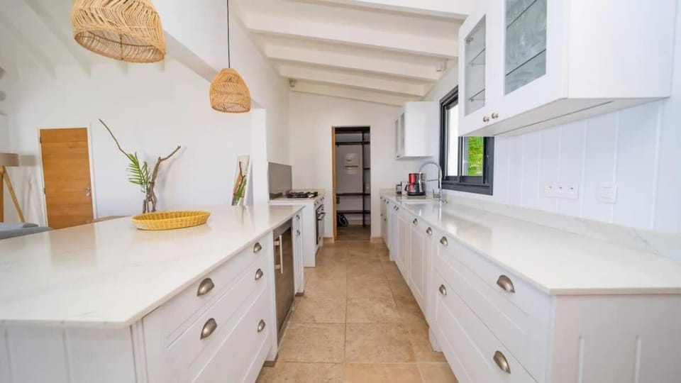 Refreshing Grand Villa near Shops and Beaches Villa in Gustavia