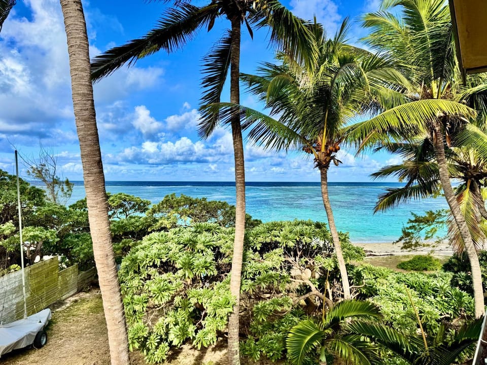 Natural landscape, Garden, Beach