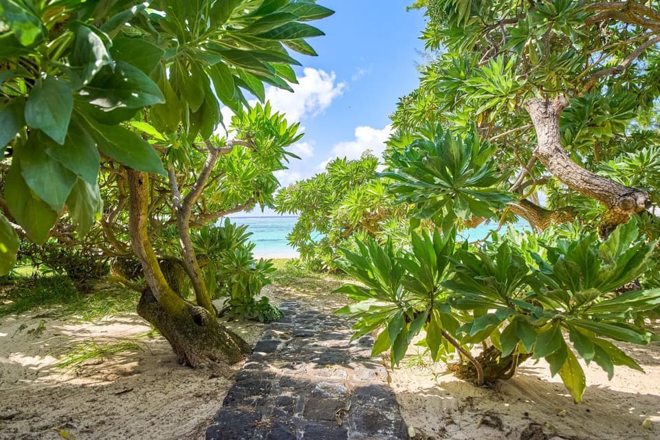 Natural landscape, Garden