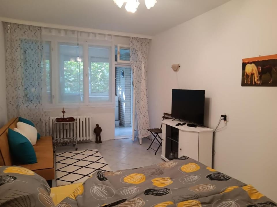 Bed, TV and multimedia
