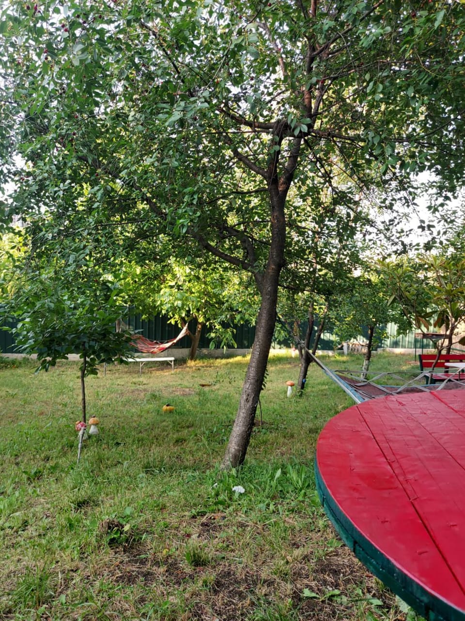 OUR heaven Bed and Breakfast in Tbilisi, Georgia