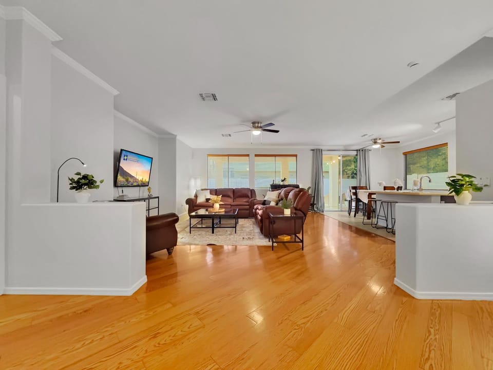 Photo of the whole room