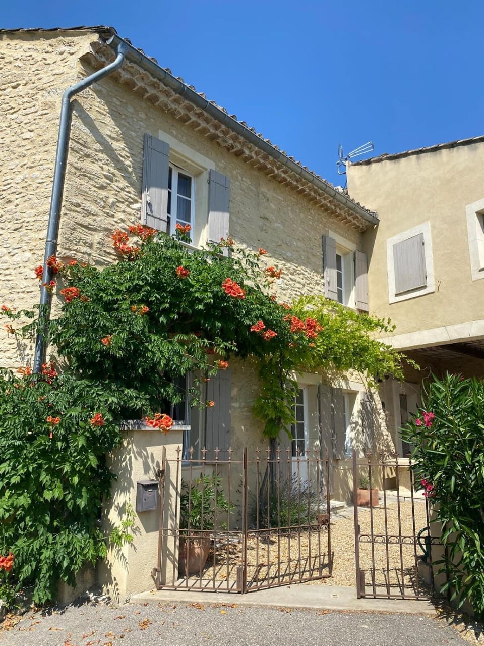 Property building, Spring, Day, Garden, Garden view