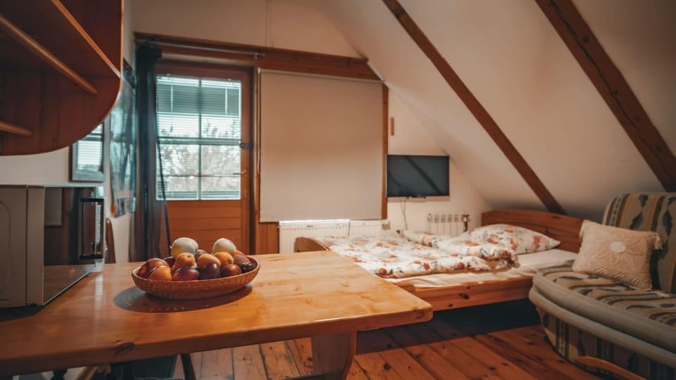 Photo of the whole room, furniture, pet friendly