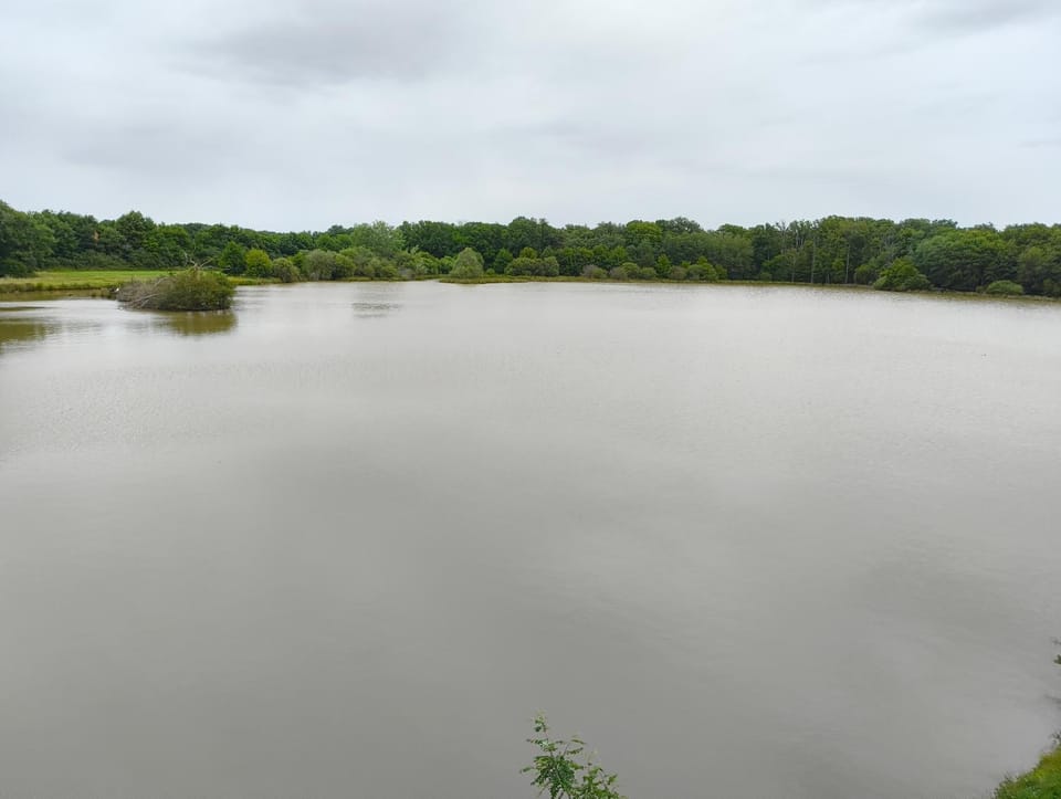 Fishing, Other