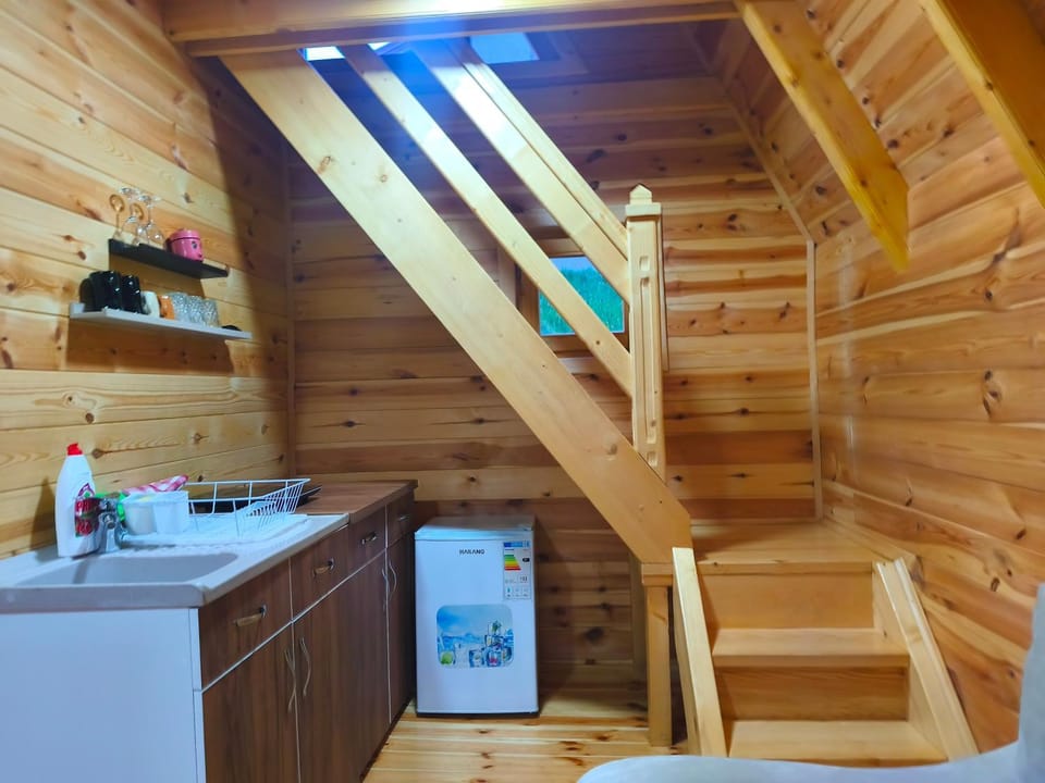 Kitchen or kitchenette, minibar