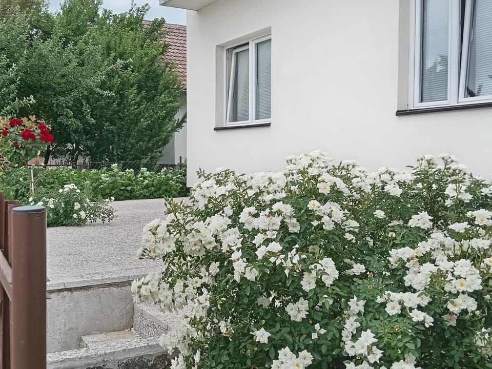 apartman Tomić Apartment in Federation of Bosnia and Herzegovina