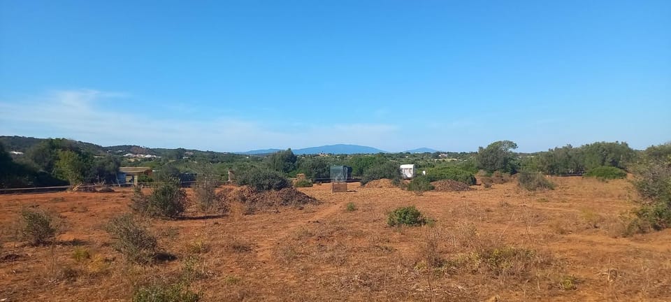 Natural landscape