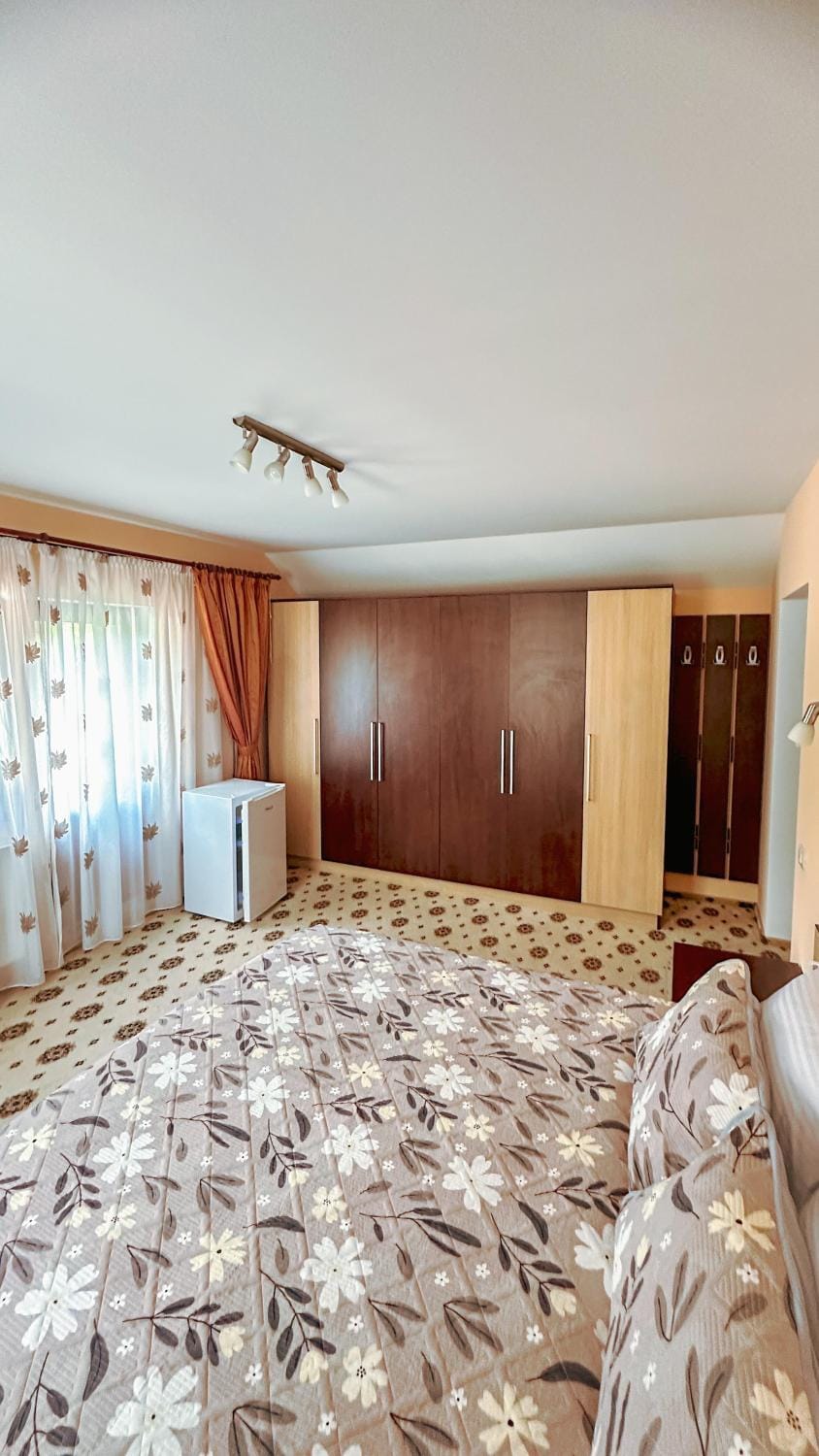 ARIA HOUSE Sinaia Bed and Breakfast in Sinaia