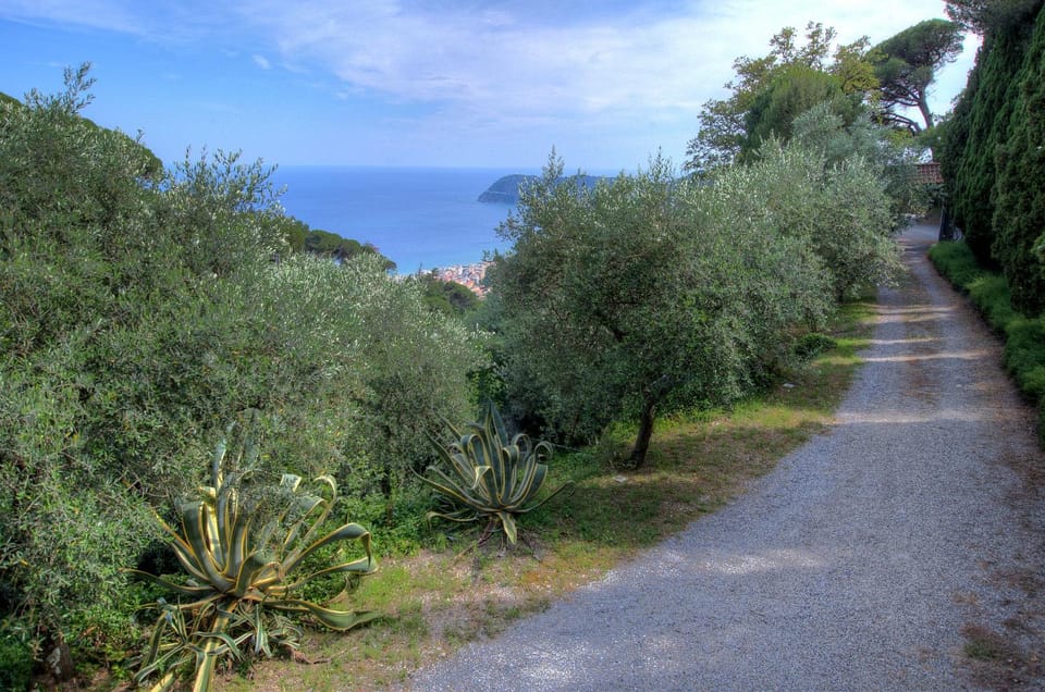 Sea view