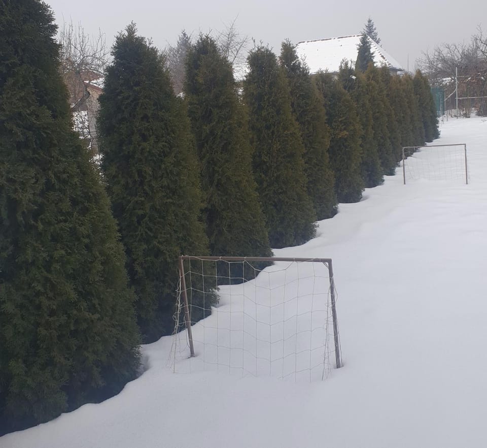 Winter