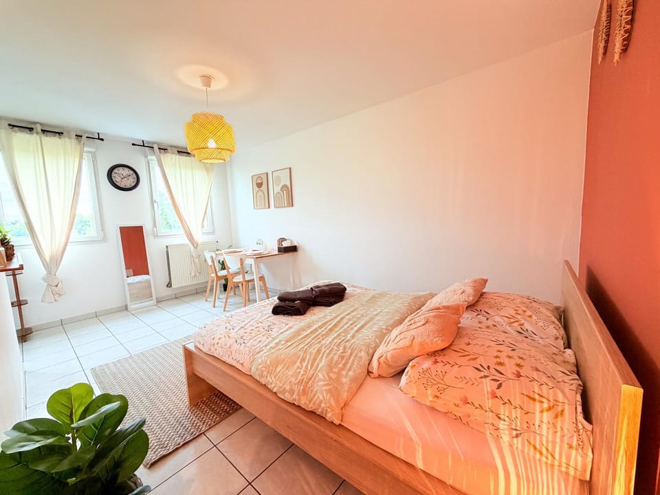 Le Nid Douillet - Parking Included - Haguenau Apartment in Haguenau