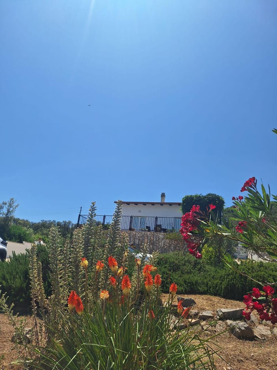 Property building, Day, Natural landscape, Garden view