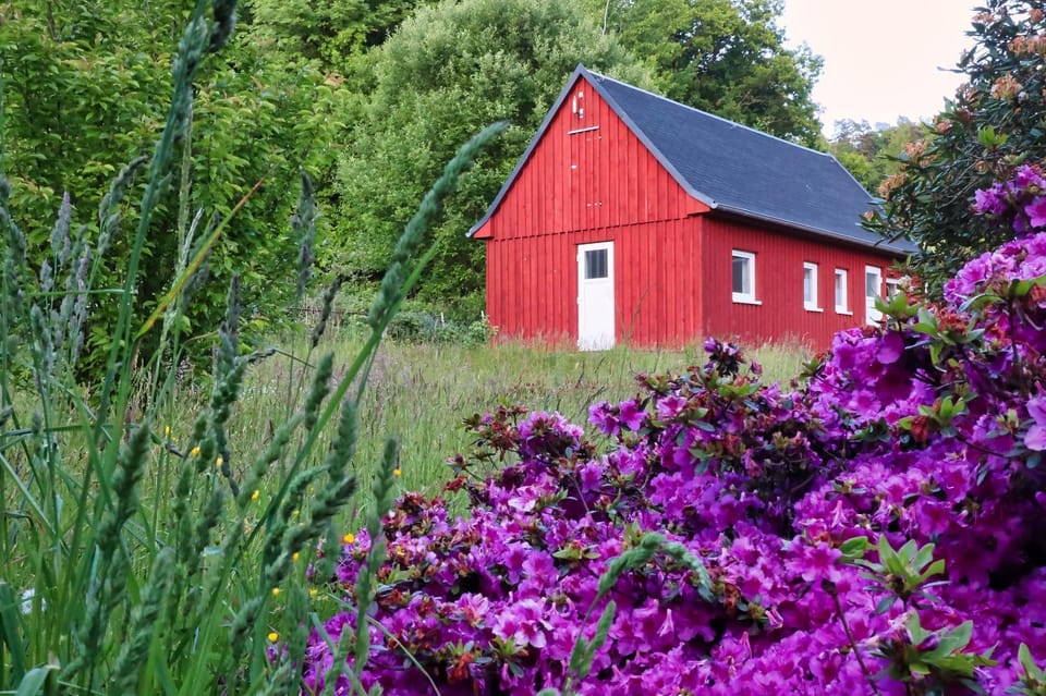 Natural landscape, Garden view