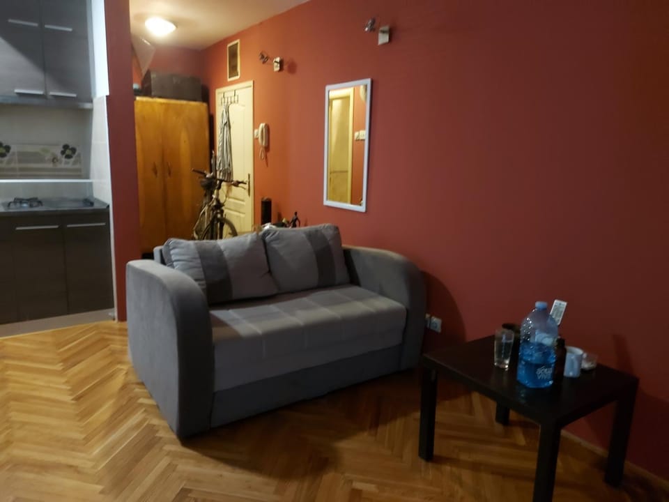 Hello Africa apartment Apartment in Novi Sad