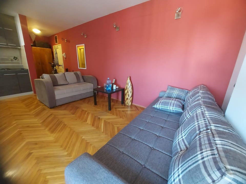 Hello Africa apartment Apartment in Novi Sad