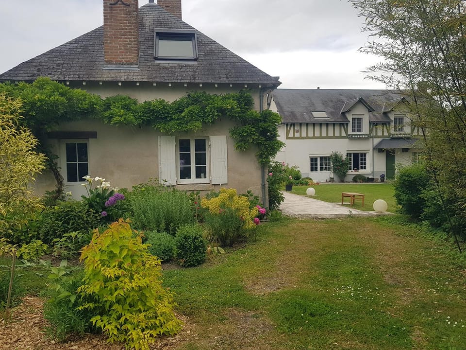Natural landscape, Garden, Garden view